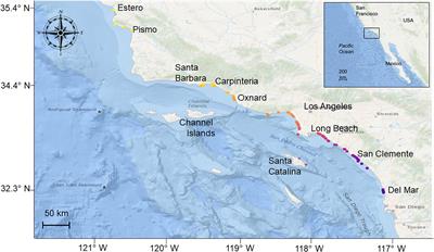 Non-random Co-occurrence of Juvenile White Sharks (Carcharodon carcharias) at Seasonal Aggregation Sites in Southern California